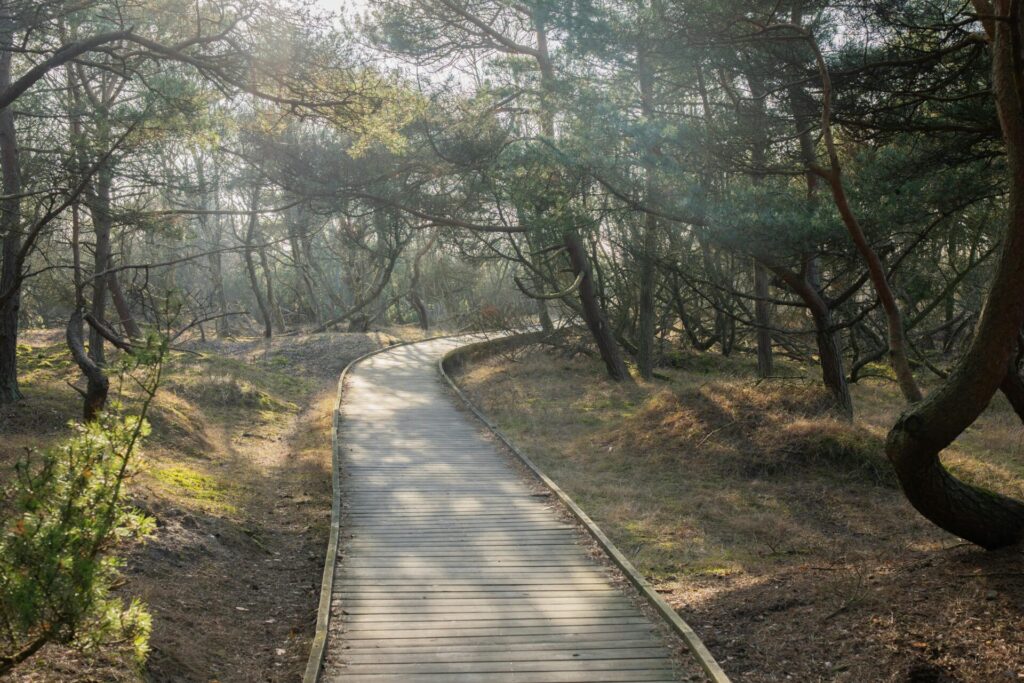 Hugh S Branyon trail in Gulf State Park for walking and biking
