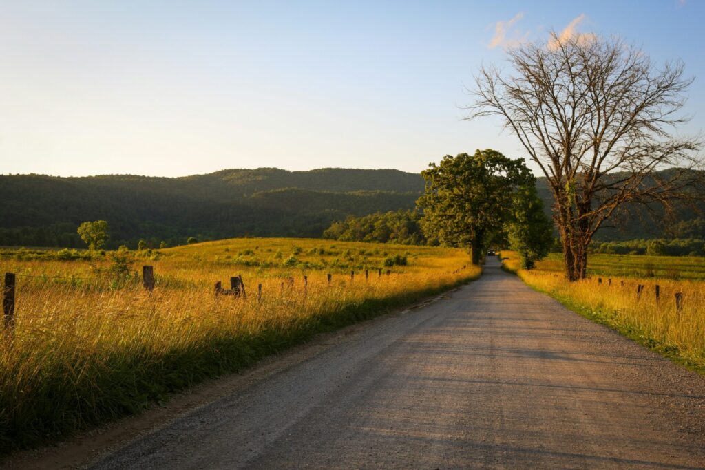 Cades Cove scenic loop with mountain views and wildlife in Great Smoky Mountains National Park