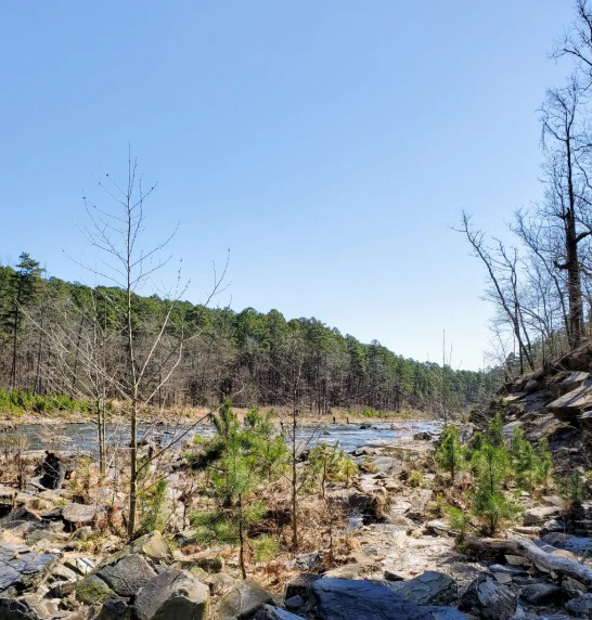 Scenic view of Beaver Lodge Nature Trail along the Mountain Fork River in Broken Bow, Oklahoma.