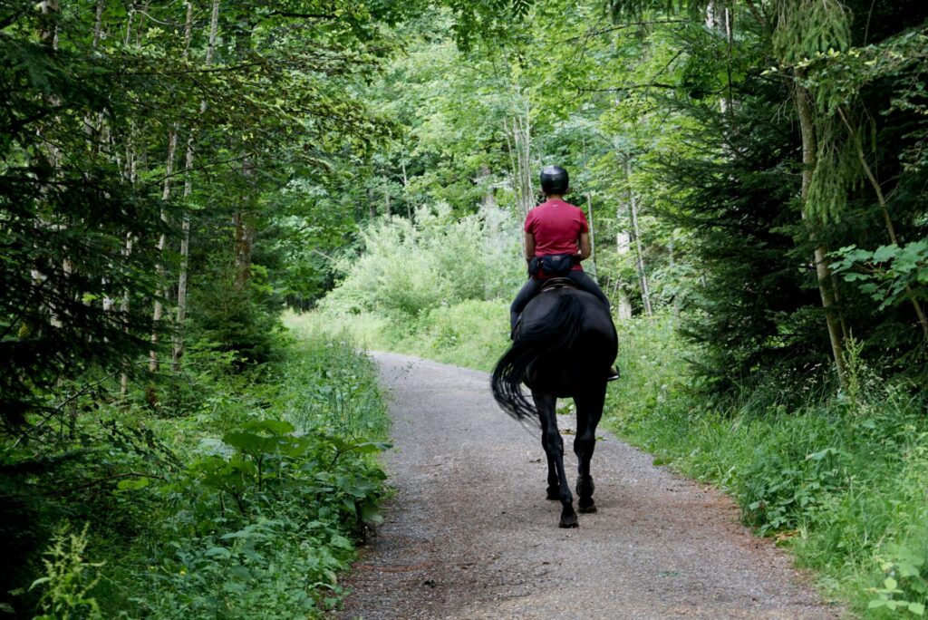 Horseback riding through the forest near Broken Bow, Oklahoma.