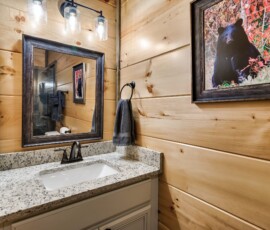 gatlinburg-cabin-tree-top-memories-bathroom-shower (2)