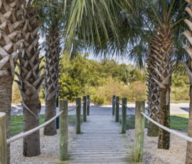 61-gulf-shores-lagoon-access-boardwalk-short-walk-to-beach.jpg