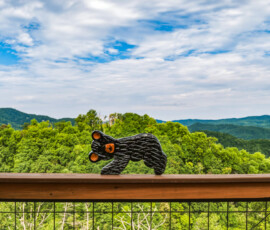 Scenic mountain views surrounding Bear Ridge Escape